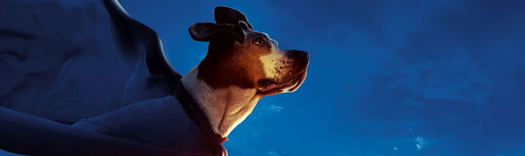 Underdog Underdog