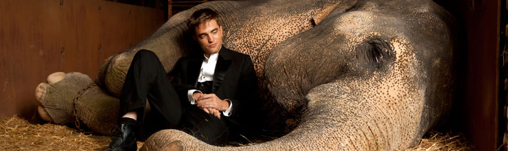 Water for Elephants