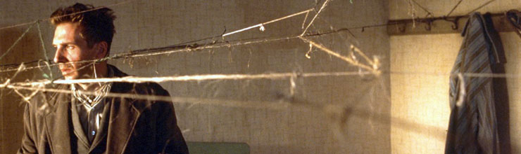 Spider