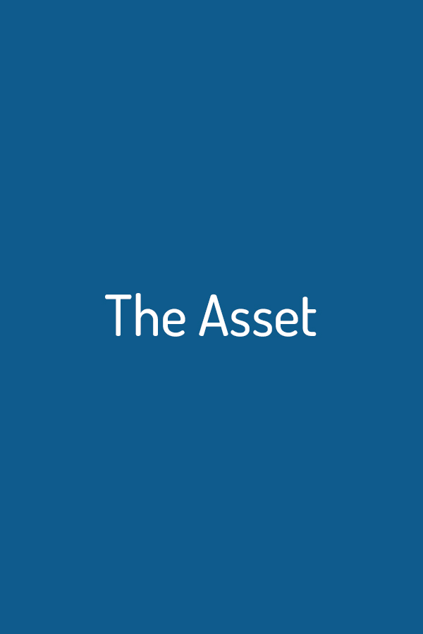 The Asset The Asset