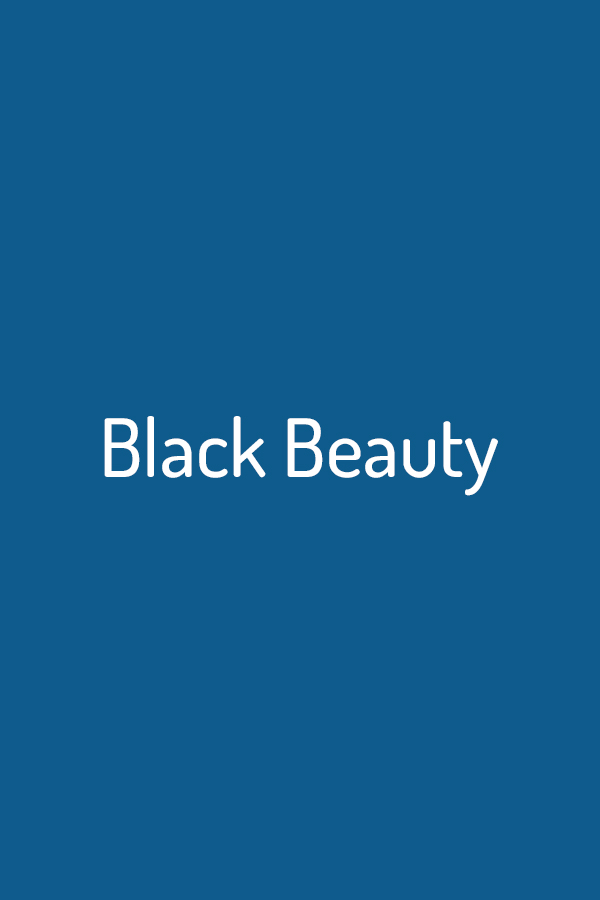 Black Beauty Black Beauty