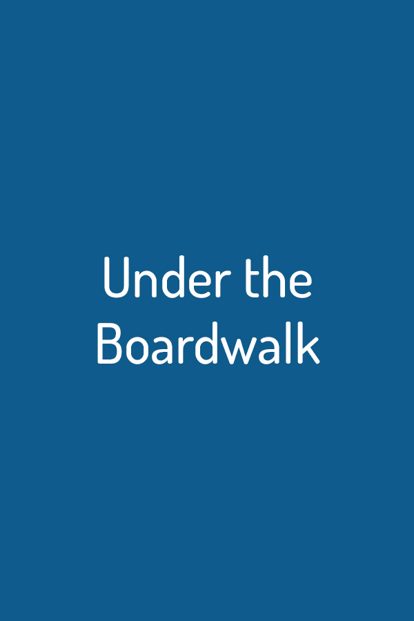Under the Boardwalk Under the Boardwalk