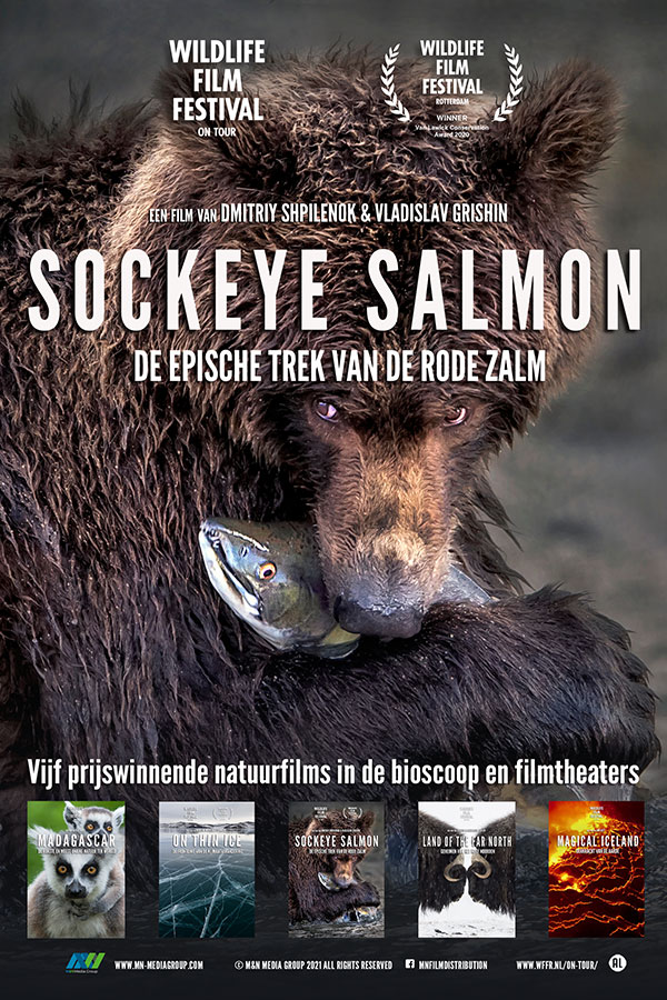Nature on Tour: Sockeye Salmon Nature on Tour: Sockeye Salmon
