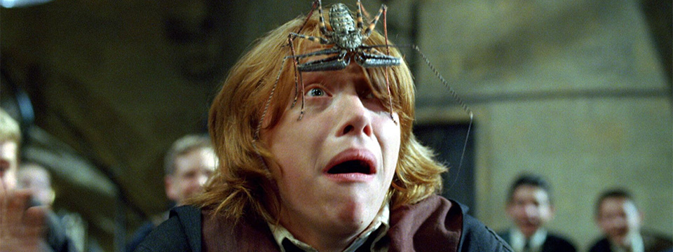 Harry Potter and the Goblet of Fire