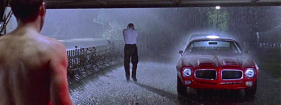American Beauty