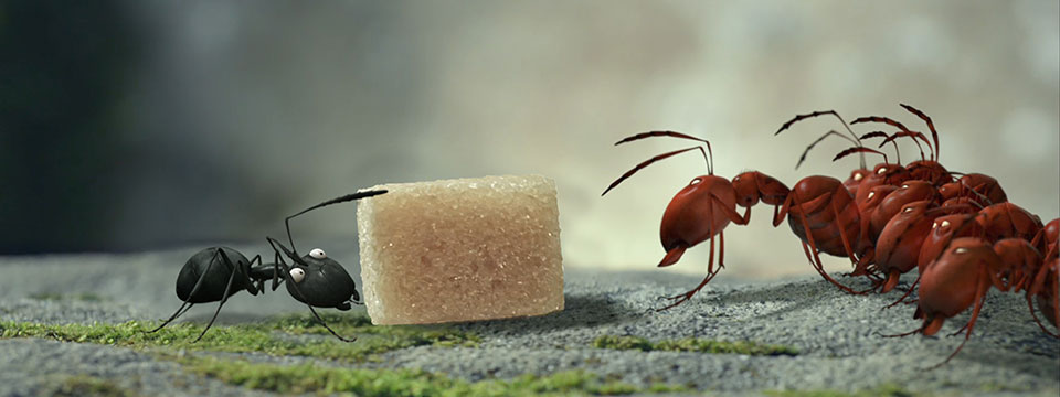 Minuscule: Valley of the Lost Ants