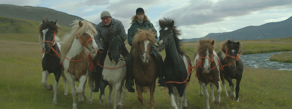 Hross í oss (Of Horses and Men)