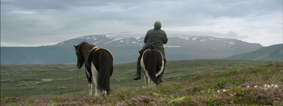 Hross í oss (Of Horses and Men)