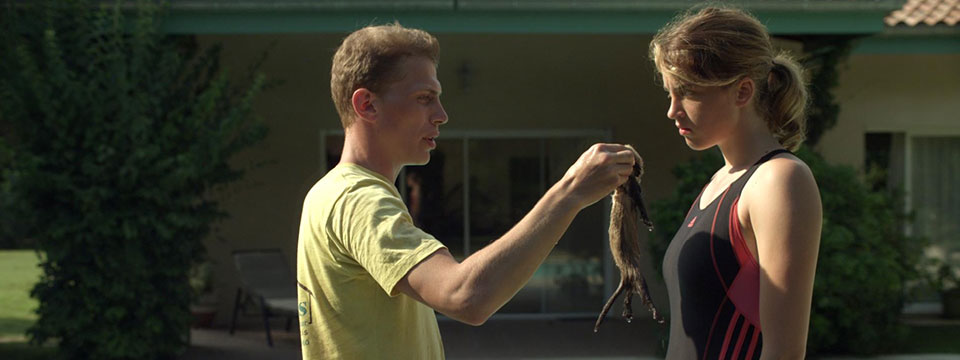 Les combattants (Love at First Fight)