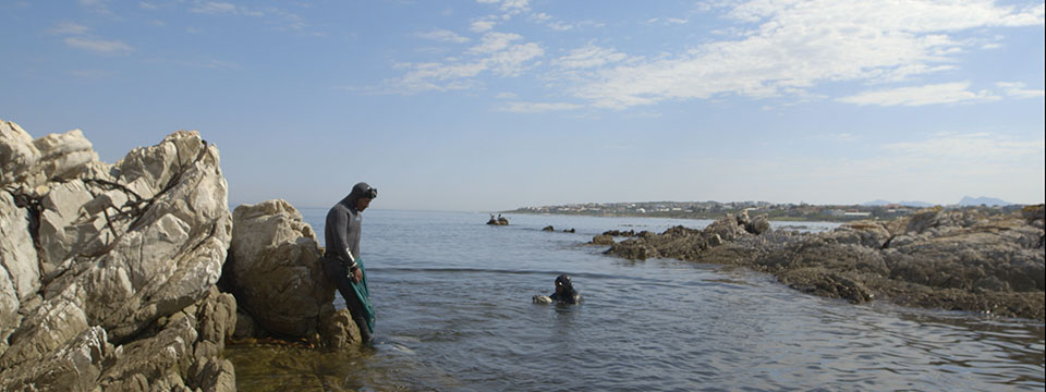 Between the Devil and the Deep