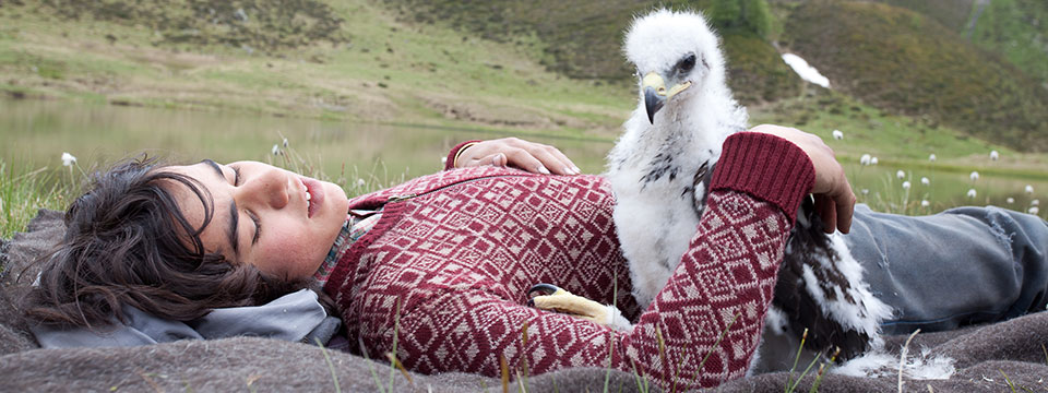 Lukas & Abel: vleugelbroertjes (Brothers of the Wind)