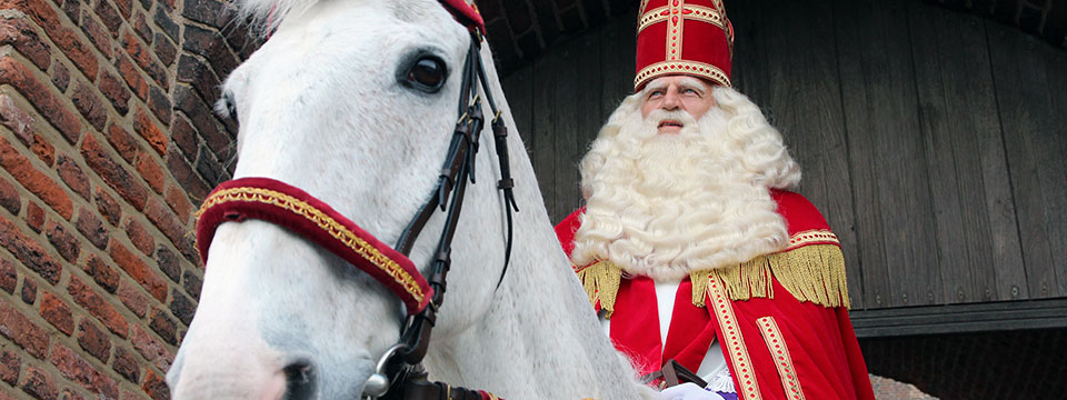 Sinterklaas en het gouden hoefijzer