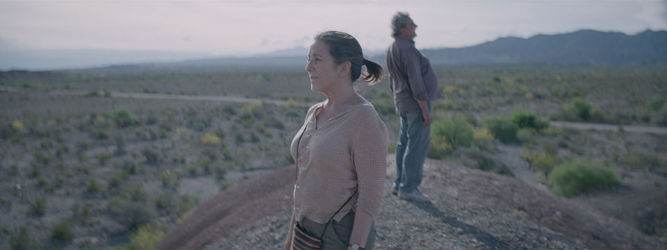 La novia del desierto (The Desert Bride)