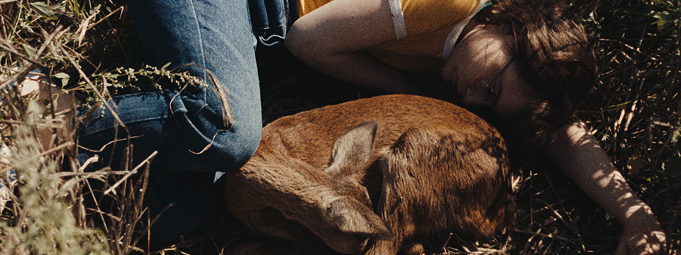 In die Sonne schauen (Sound of Falling)