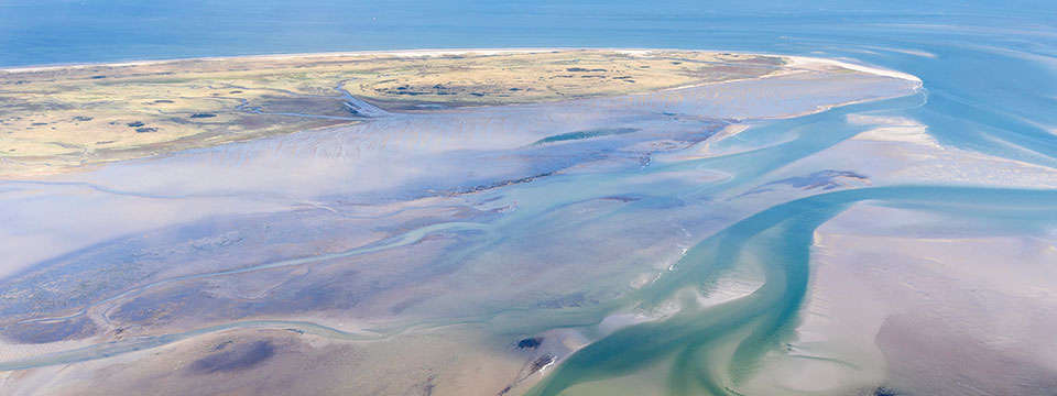 Wad: Overleven op de grens van water en land