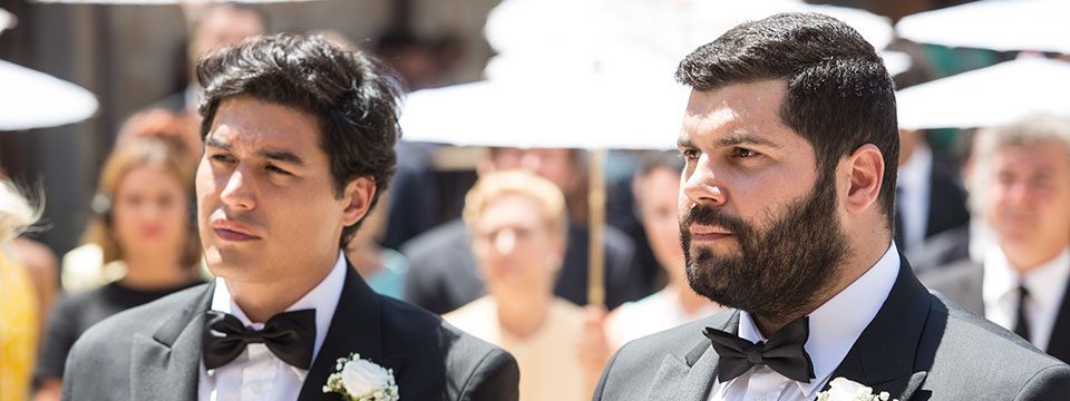 Matrimonio italiano (My Big Gay Italian Wedding)