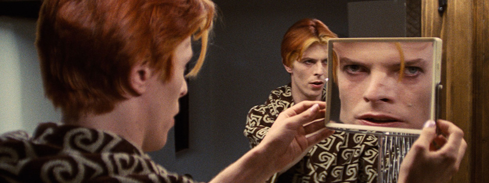 The Man Who Fell to Earth