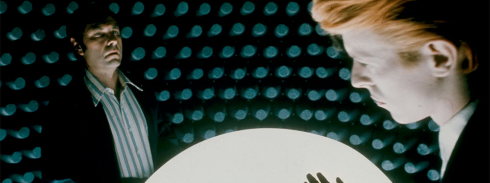 The Man Who Fell to Earth