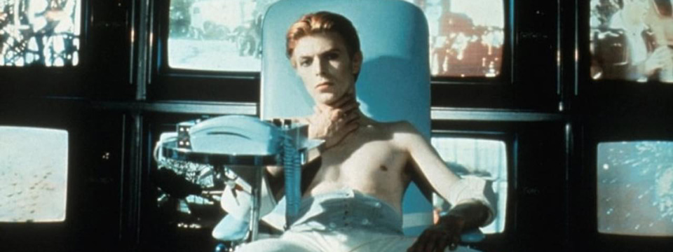 The Man Who Fell to Earth