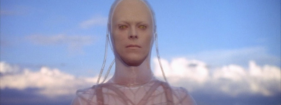 The Man Who Fell to Earth