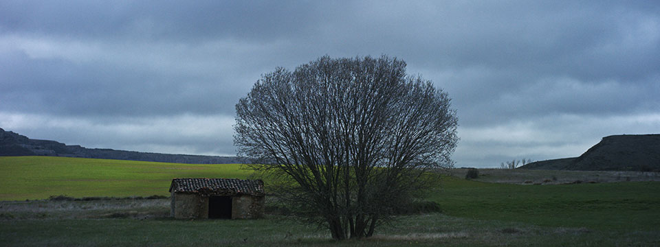 Con el viento (Facing the Wind)