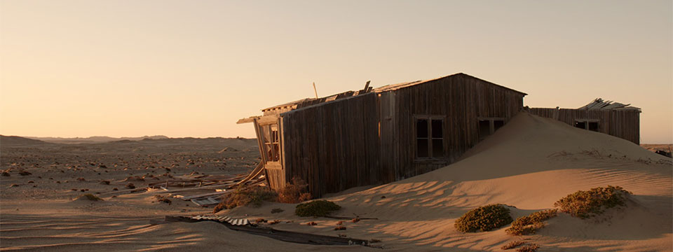 Desert Paradise (Paradijs in de woestijn)