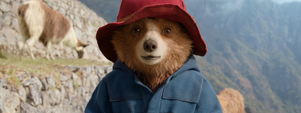 Paddington in Peru