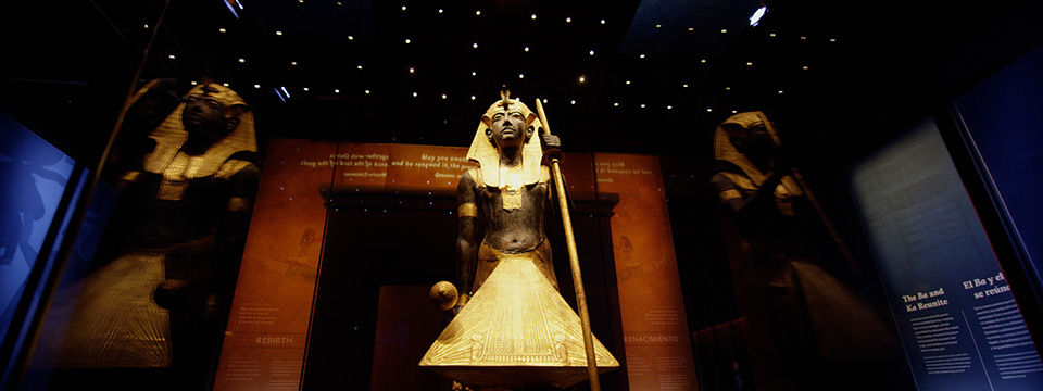 Tutankhamun: The Last Exhibition