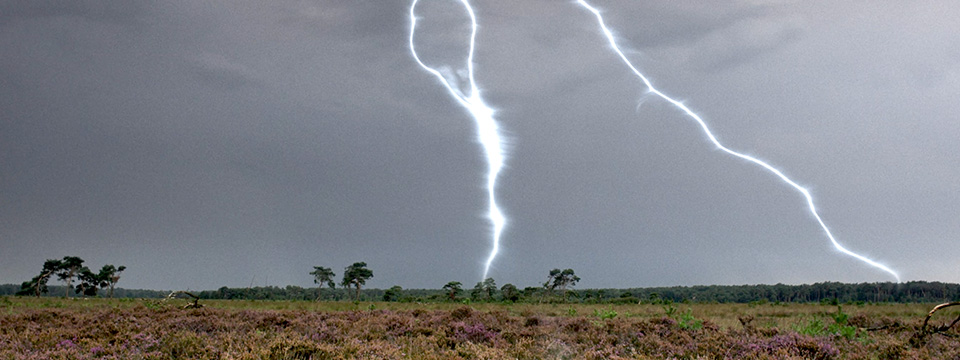 Onze Natuur, het Wilde België