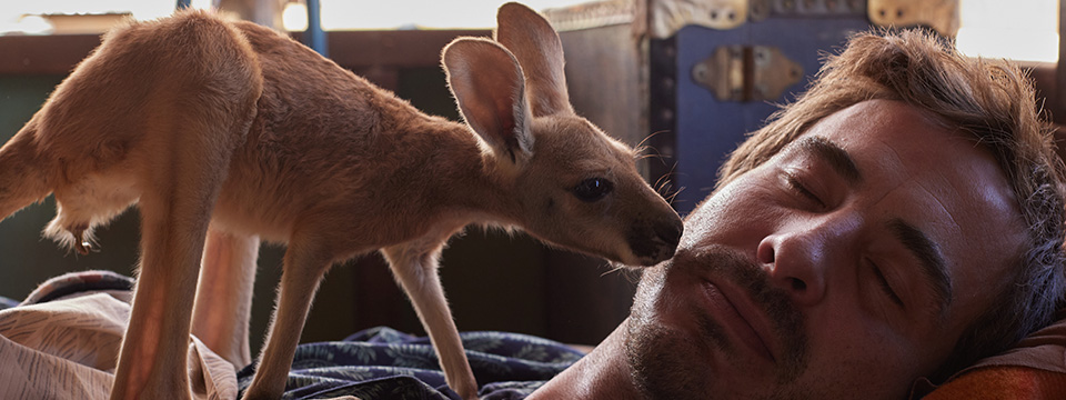 Kangaroo