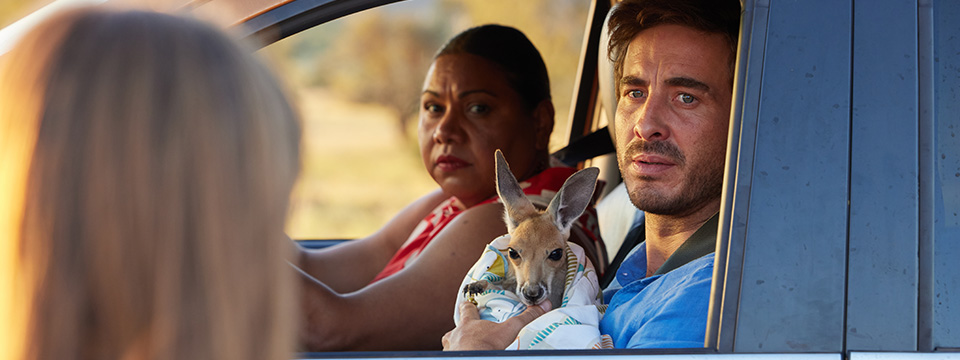 Kangaroo