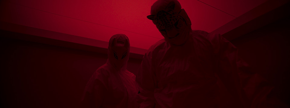 The Wolf, the Fox and the Leopard