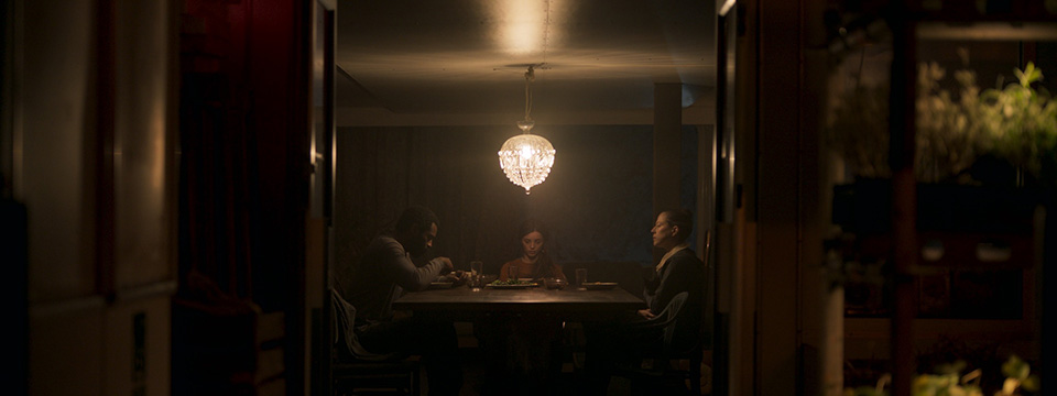 The Wolf, the Fox and the Leopard