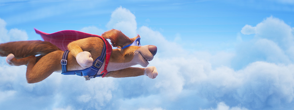 Charlie the Wonderdog