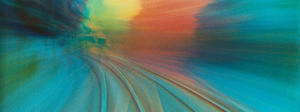 Sedmikrásky (Daisies)