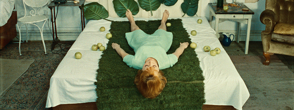 Sedmikrásky (Daisies)