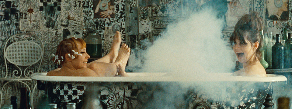 Sedmikrásky (Daisies)