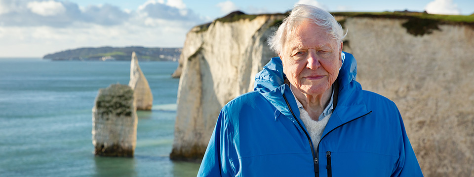OCEAN with David Attenborough (David Attenborough: Ocean)