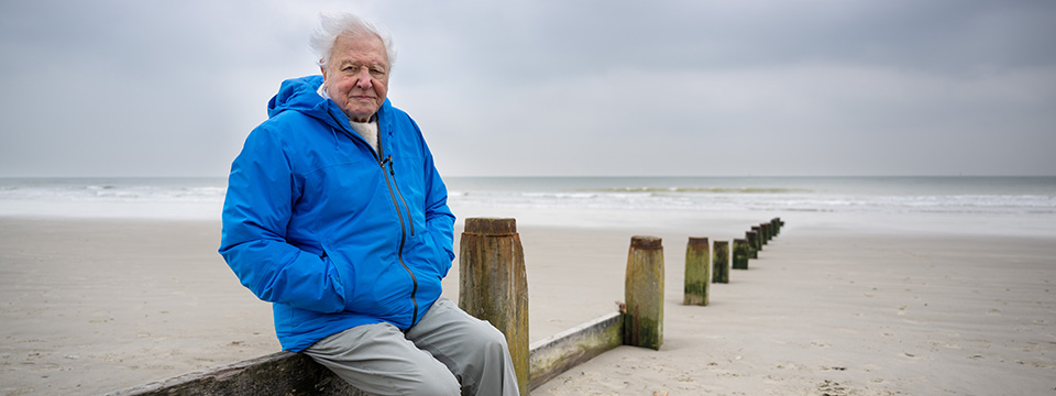 OCEAN with David Attenborough (David Attenborough: Ocean)