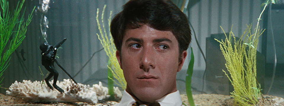 The Graduate (4K Restoration)