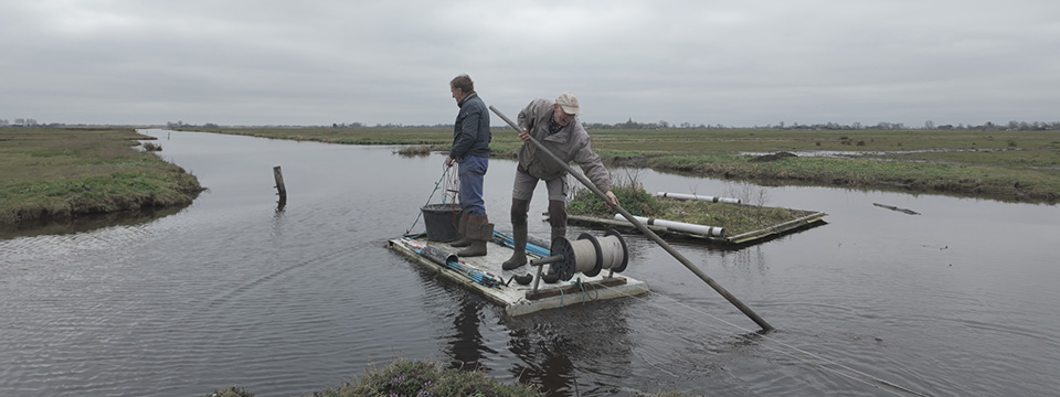 Hoop in de hoep