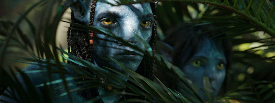 Avatar: The Way of Water (re-release)