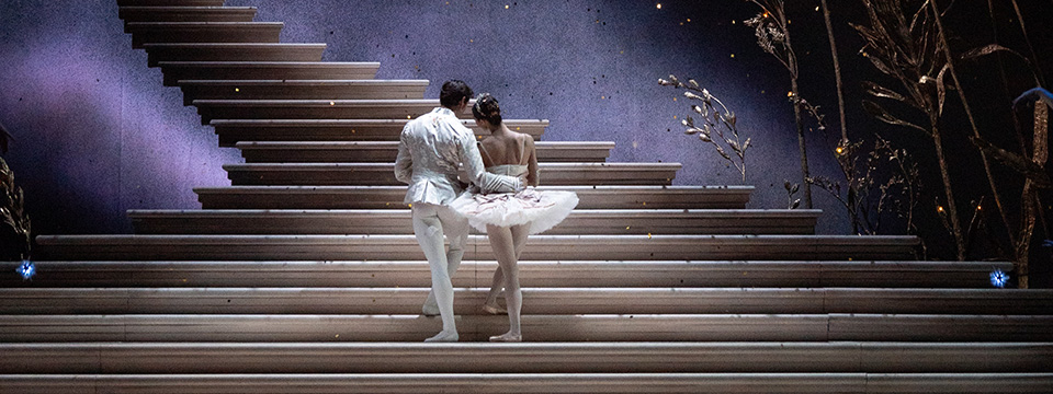 RBO 25/26: Assepoester