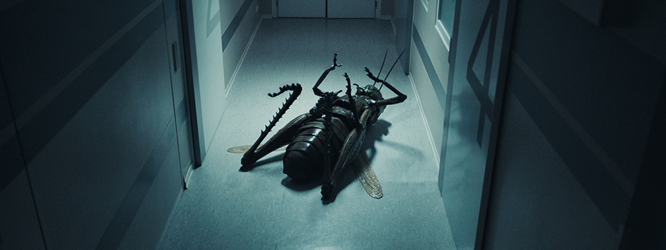 Der Kuss des Grashüpfers (The Kiss of the Grasshopper)