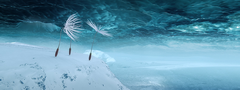 Planètes (Dandelion's Odyssey)