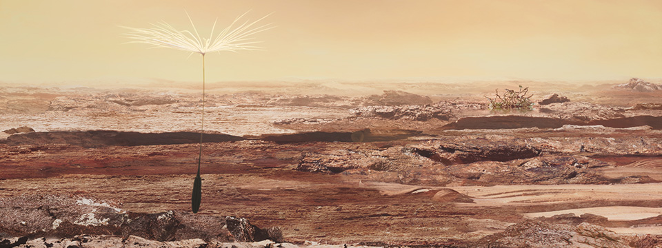 Planètes (Dandelion's Odyssey)